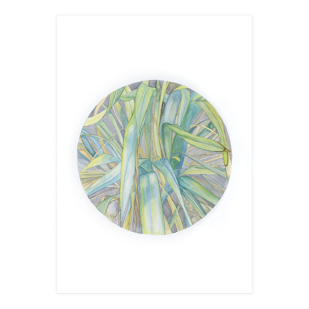 Grasses In The Late Summer Light (Print Only)