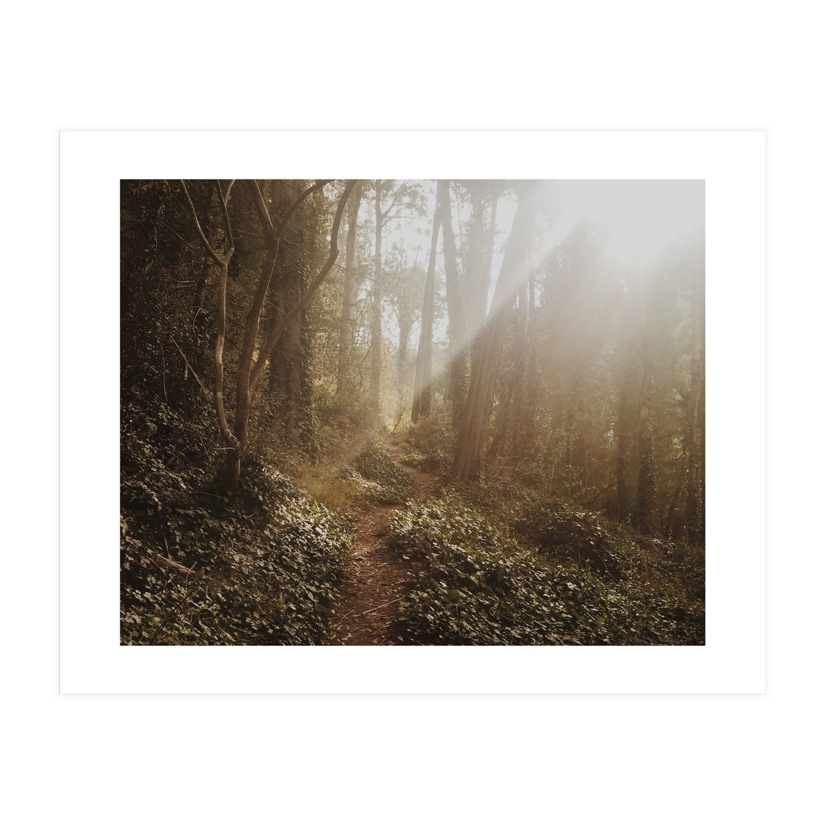 Mt. Davidson II (Print Only)