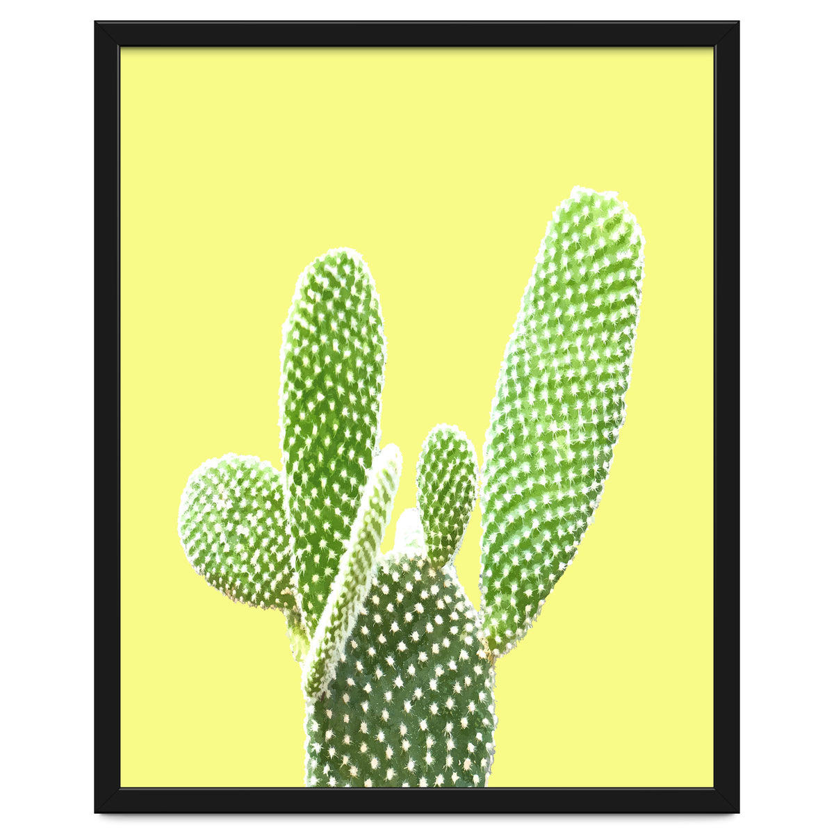 Cactus Yellow Background
