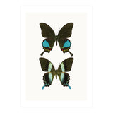 Cc Butterflies 02 (Print Only) thumbnail