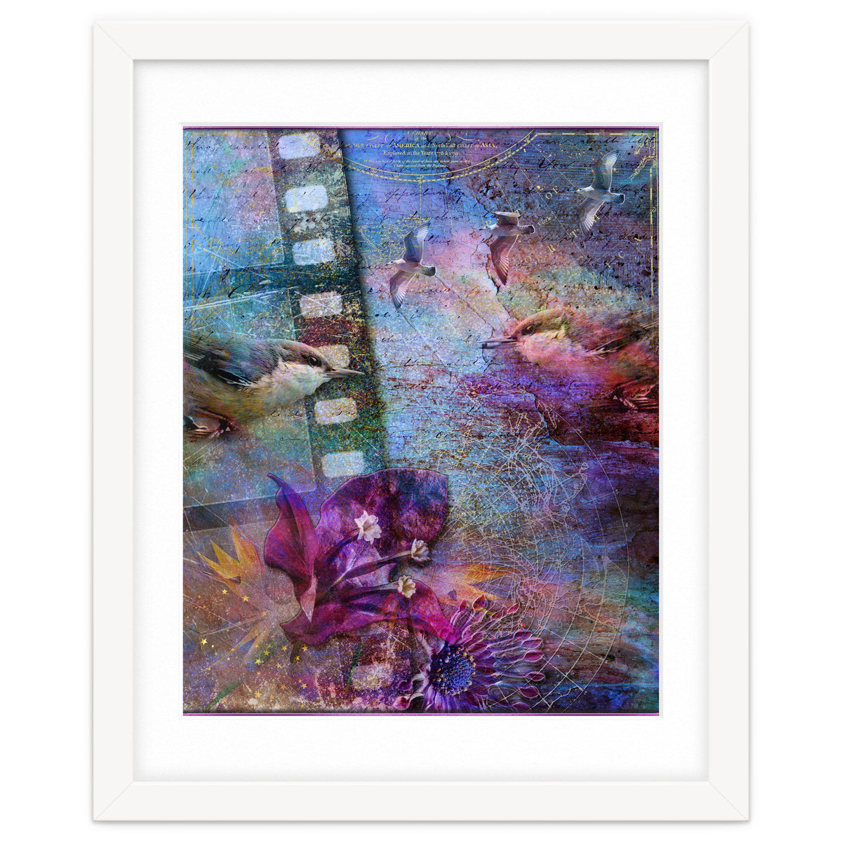 Watching the Wild World