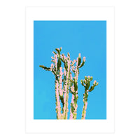 Cactus Beauty (Print Only)