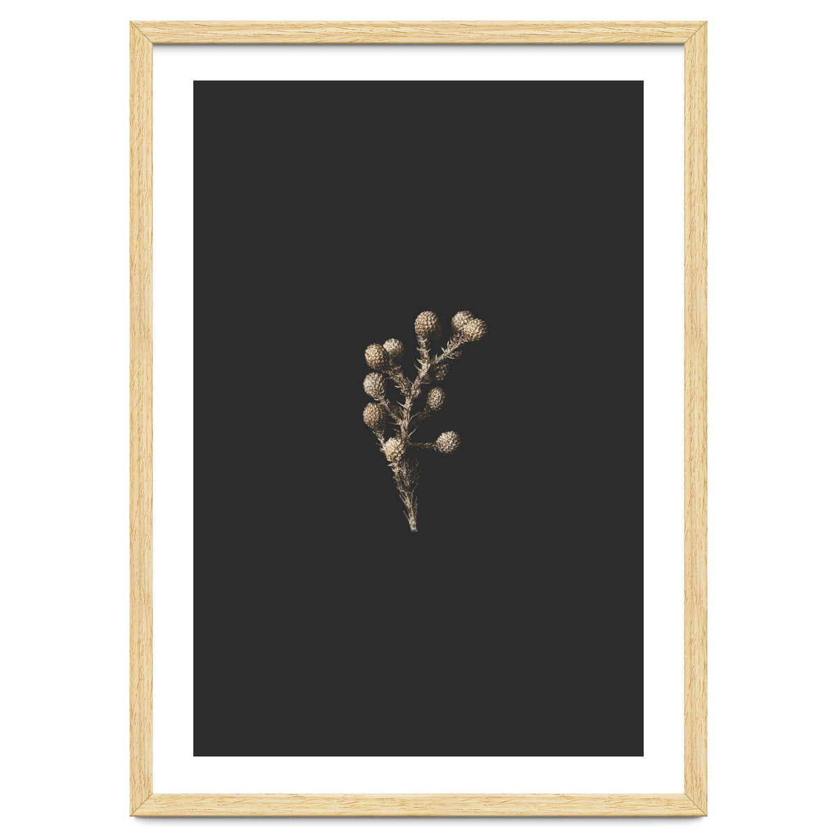 Gold Drops Botanicals