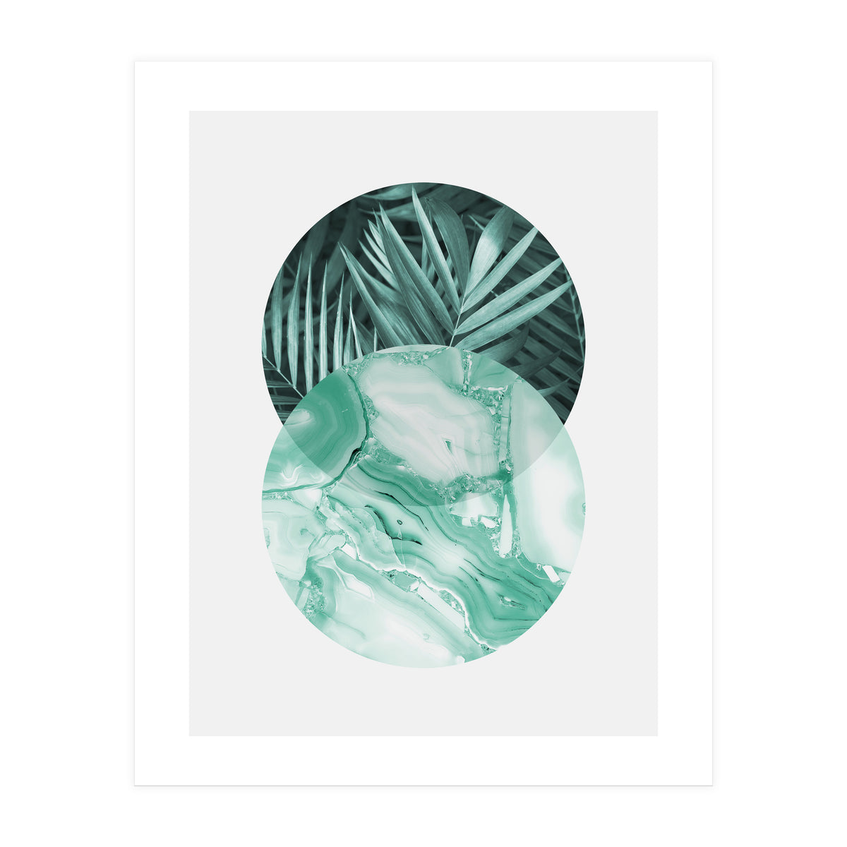 Botanical and geometric IV (Print Only)