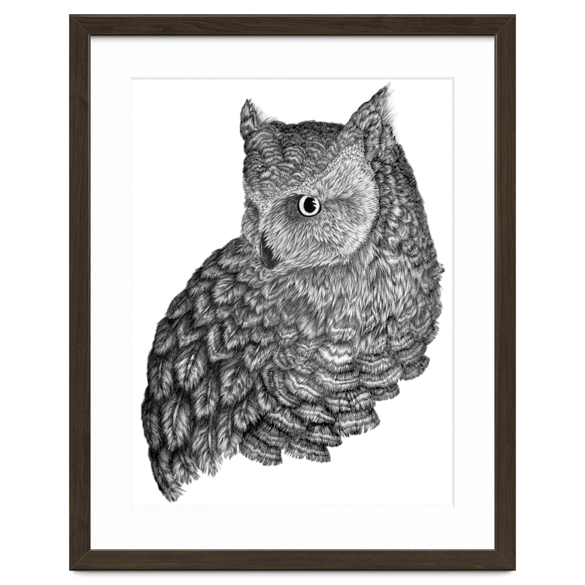 A Friend For Forsythe