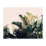 Paradise #4  (Print Only) thumbnail