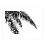 Palm Leaves (Print Only) thumbnail