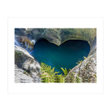 Nature (Print Only) thumbnail