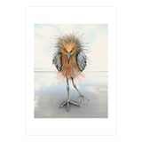 Reddish Egret (Print Only) thumbnail