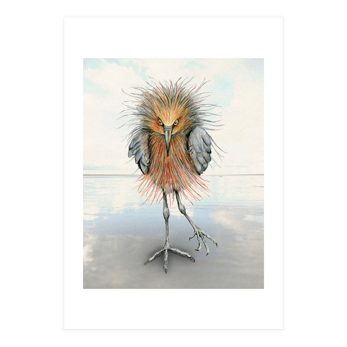 Reddish Egret (Print Only)