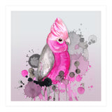Galah cockatoo (Print Only) thumbnail