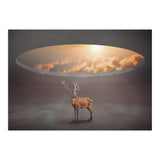Display Ring (Print Only) thumbnail