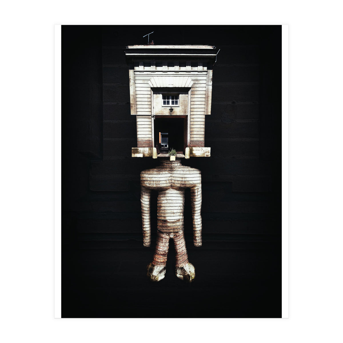 VooDooTooL - Jujia (Print Only)