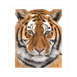 Tiger (Print Only) thumbnail