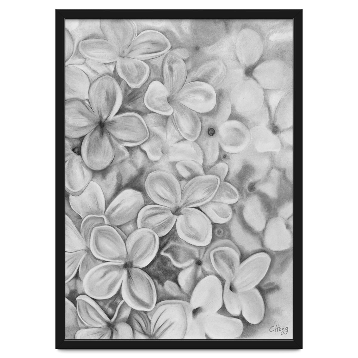 The Essence Of Spring in Monochrome