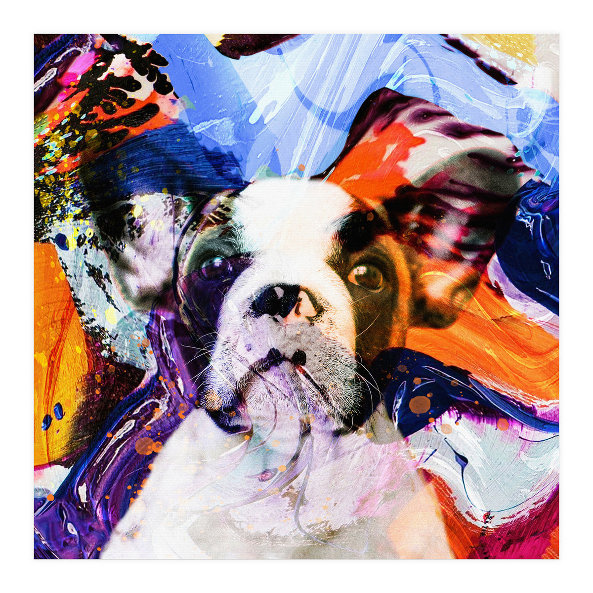 Zycko Color Dog 1 (Print Only)