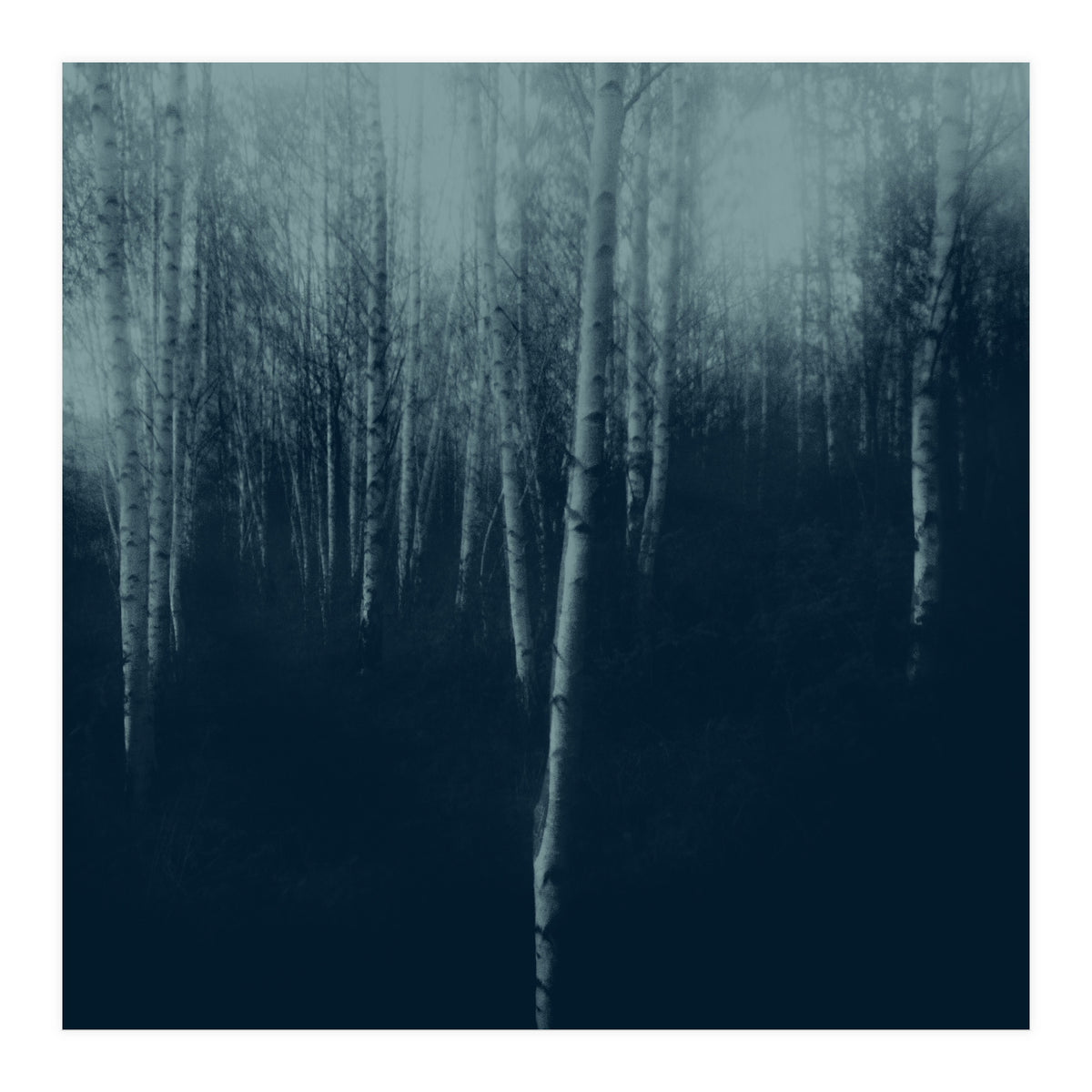 deep veins I (Print Only)