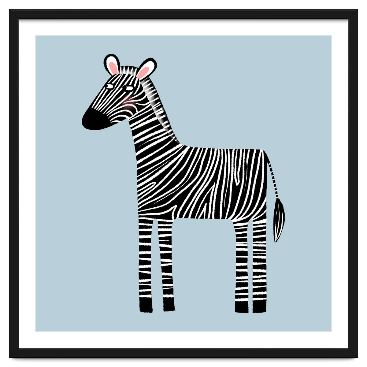 Zebra