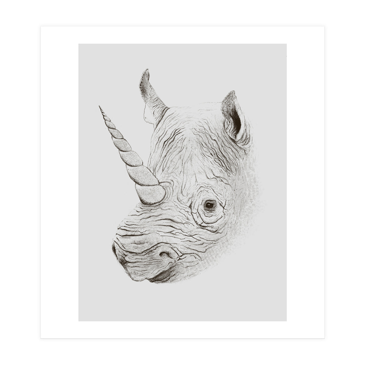 Rhinoplasty (Print Only)