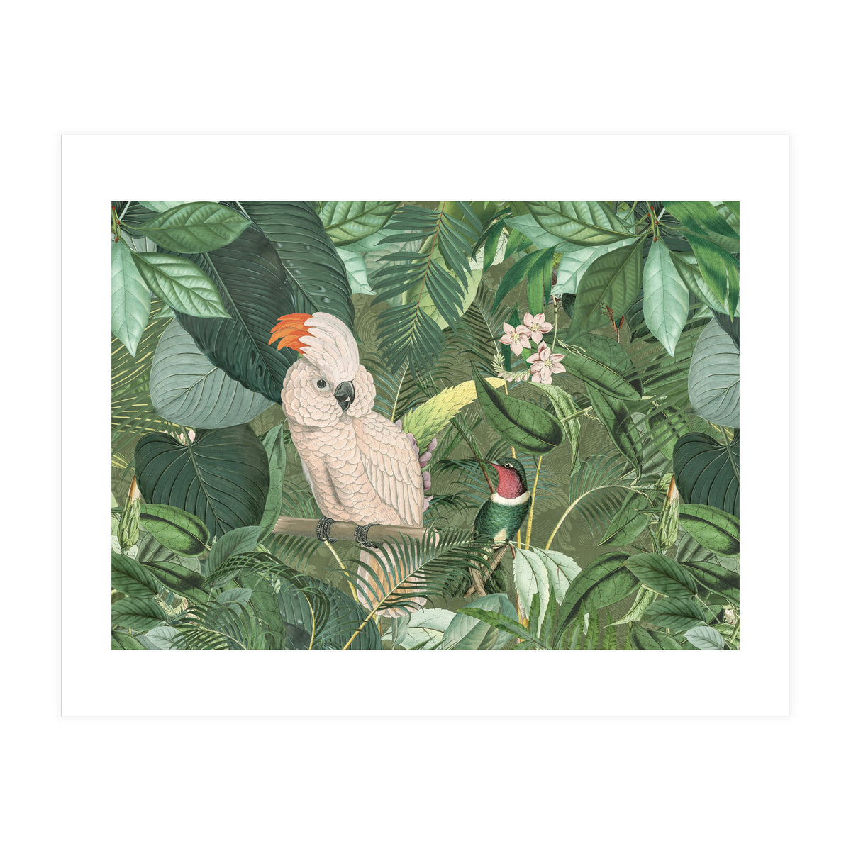 Jungle Friends (Print Only)