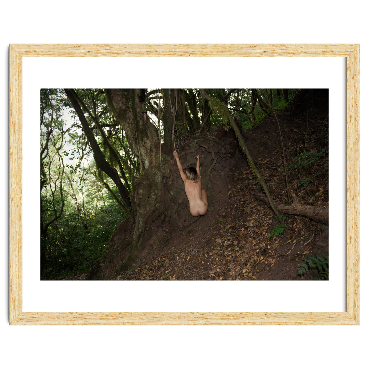 The kids Are all Wild