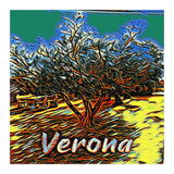 Colorful Olive tree in Verona, Italy. (Print Only) thumbnail