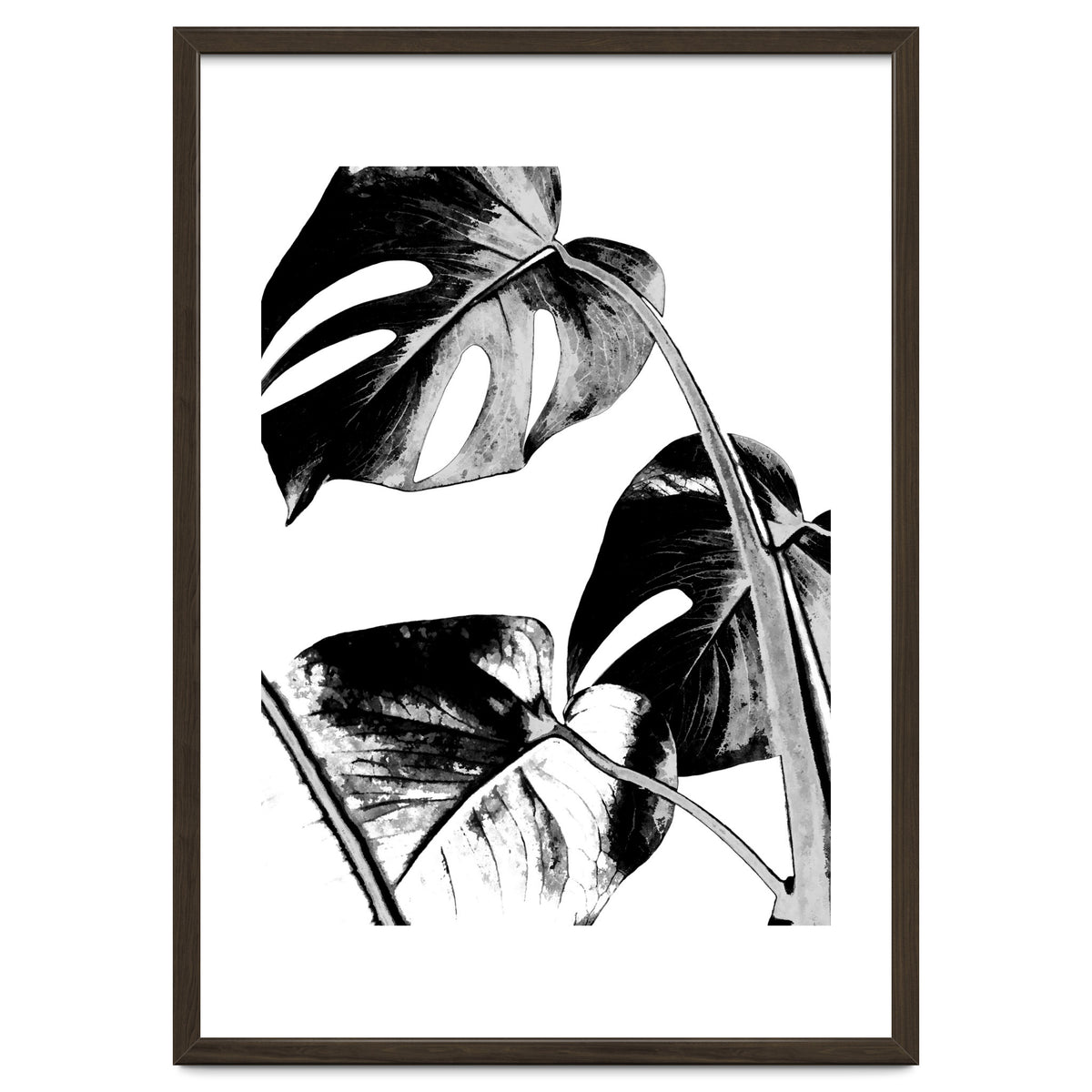 Black Tropical Leaves