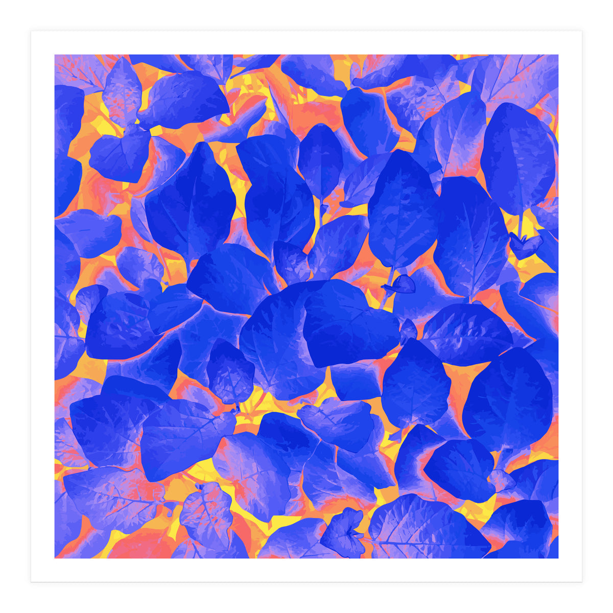 Supercontrast (Print Only)