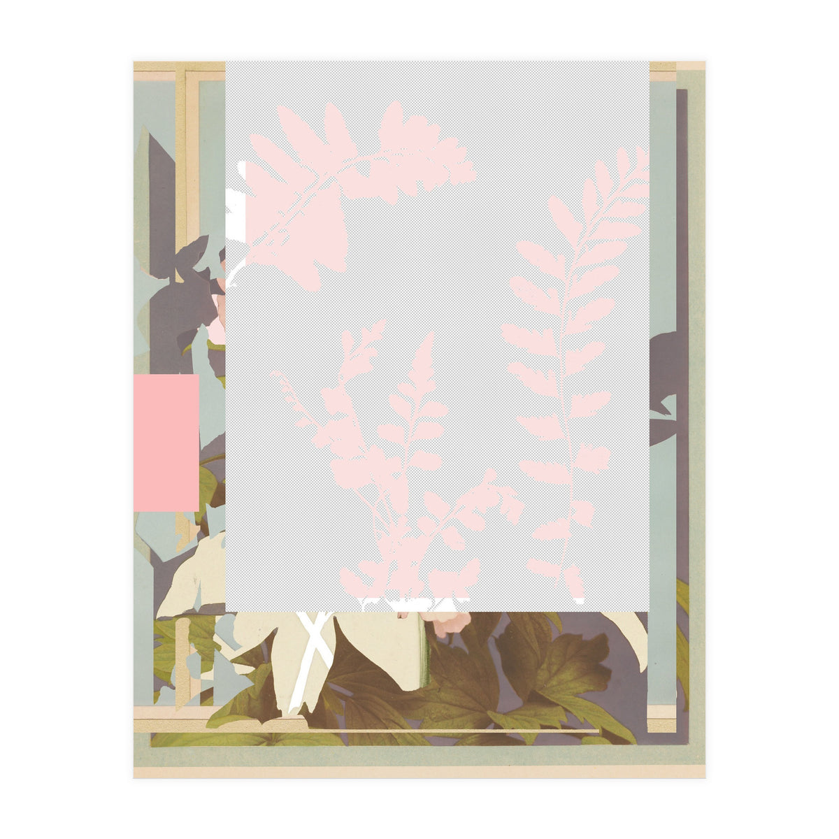 The First Plant · F2 (Print Only)