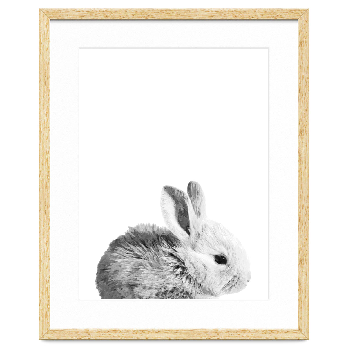 Black and White Bunny Portrait