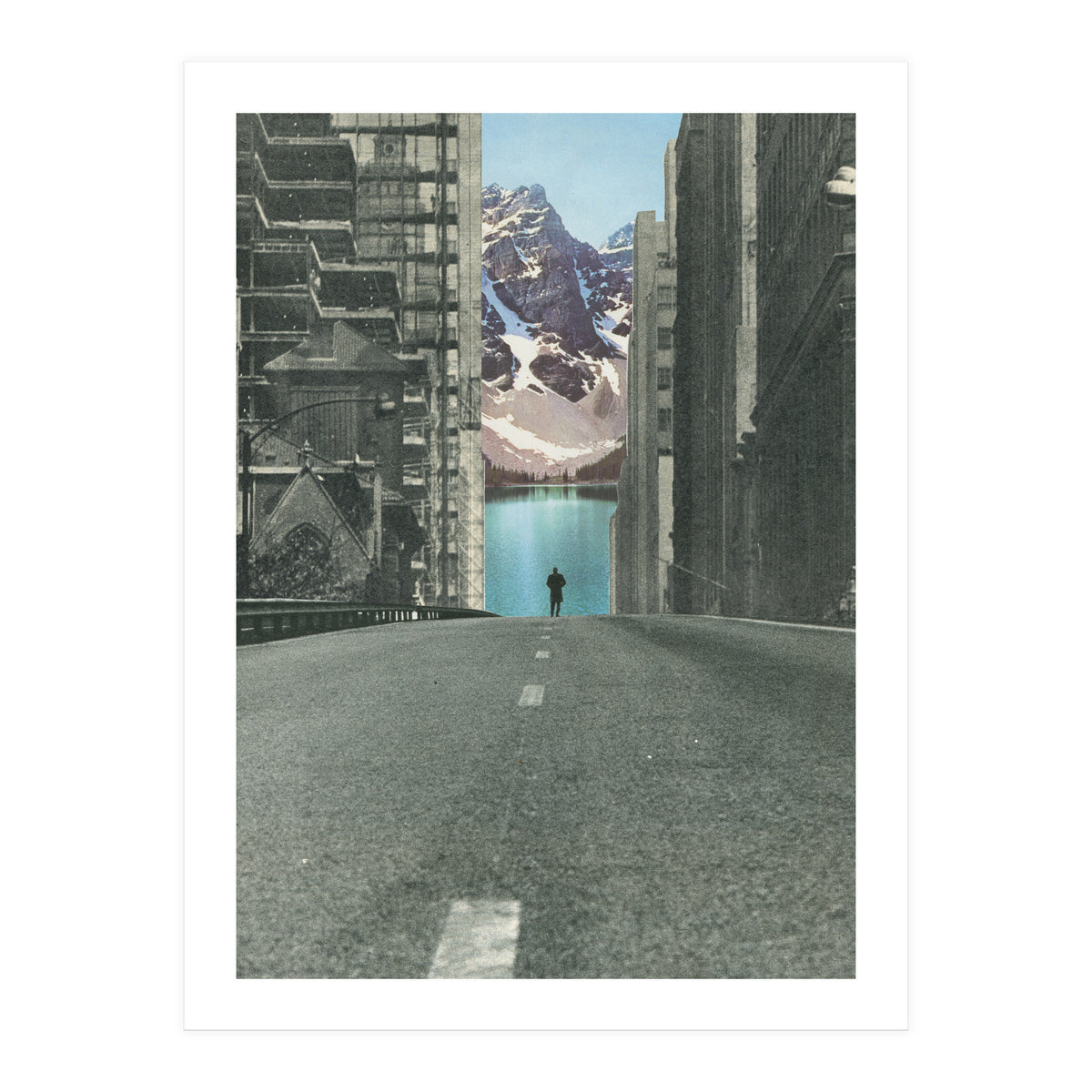 Into The Wild (Print Only)