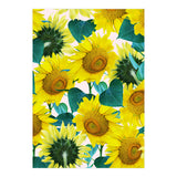 Sunflower (Print Only) thumbnail