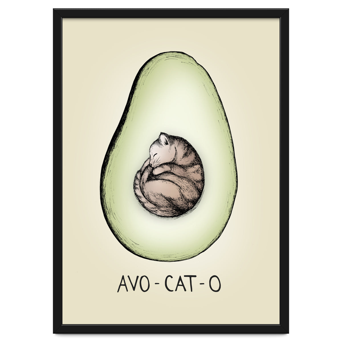 Avo-cat-o