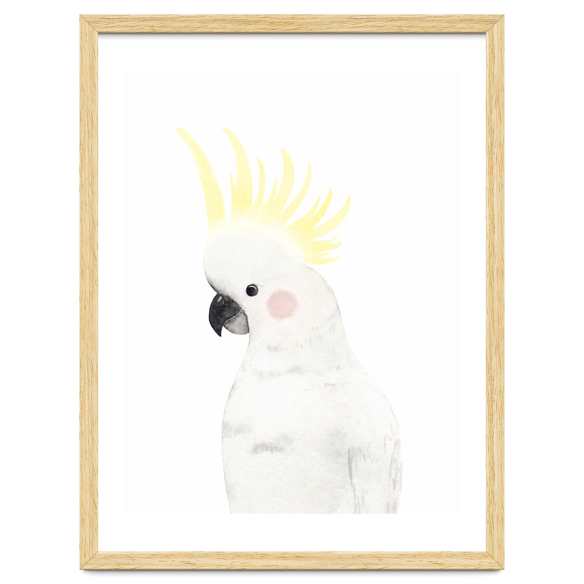Sweet Cockatoo