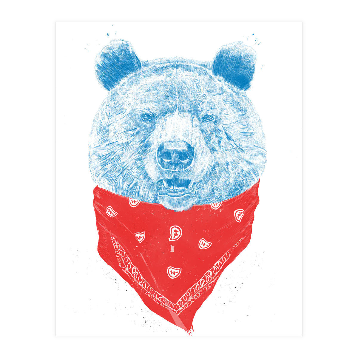 Wild Bear Color Version (Print Only)
