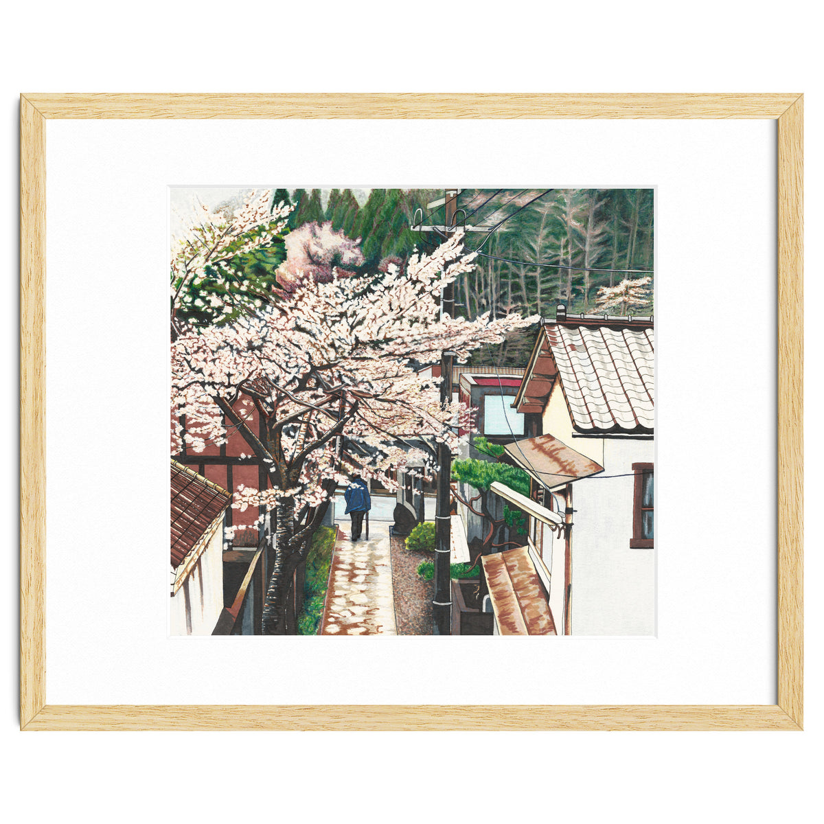 Passing by Cherry Blossoms