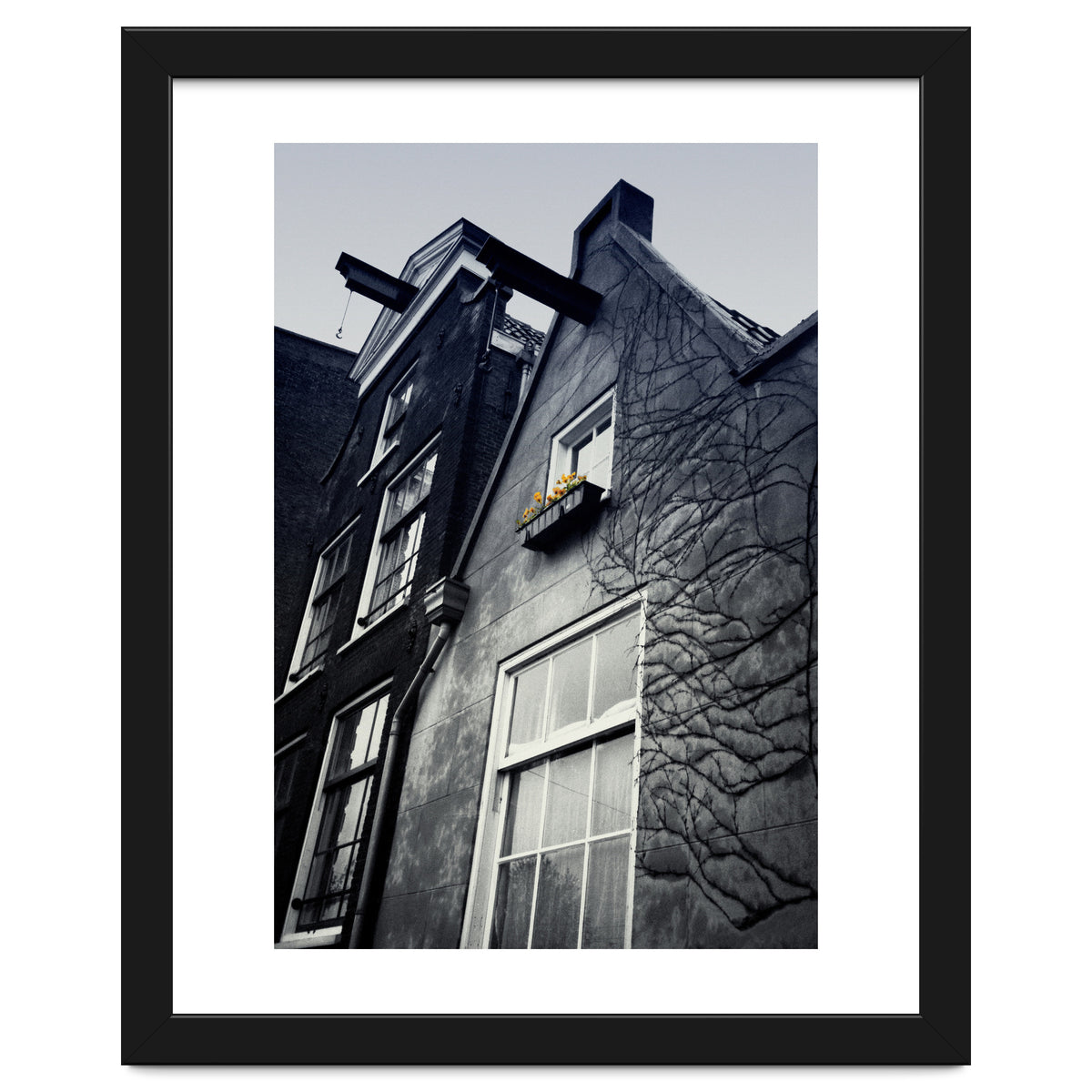 Amsterdam. House With Yellow Flowers.