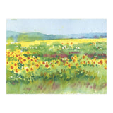 Sunflowers field  (Print Only) thumbnail