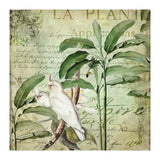 Nostalgic Cockatoo  (Print Only) thumbnail