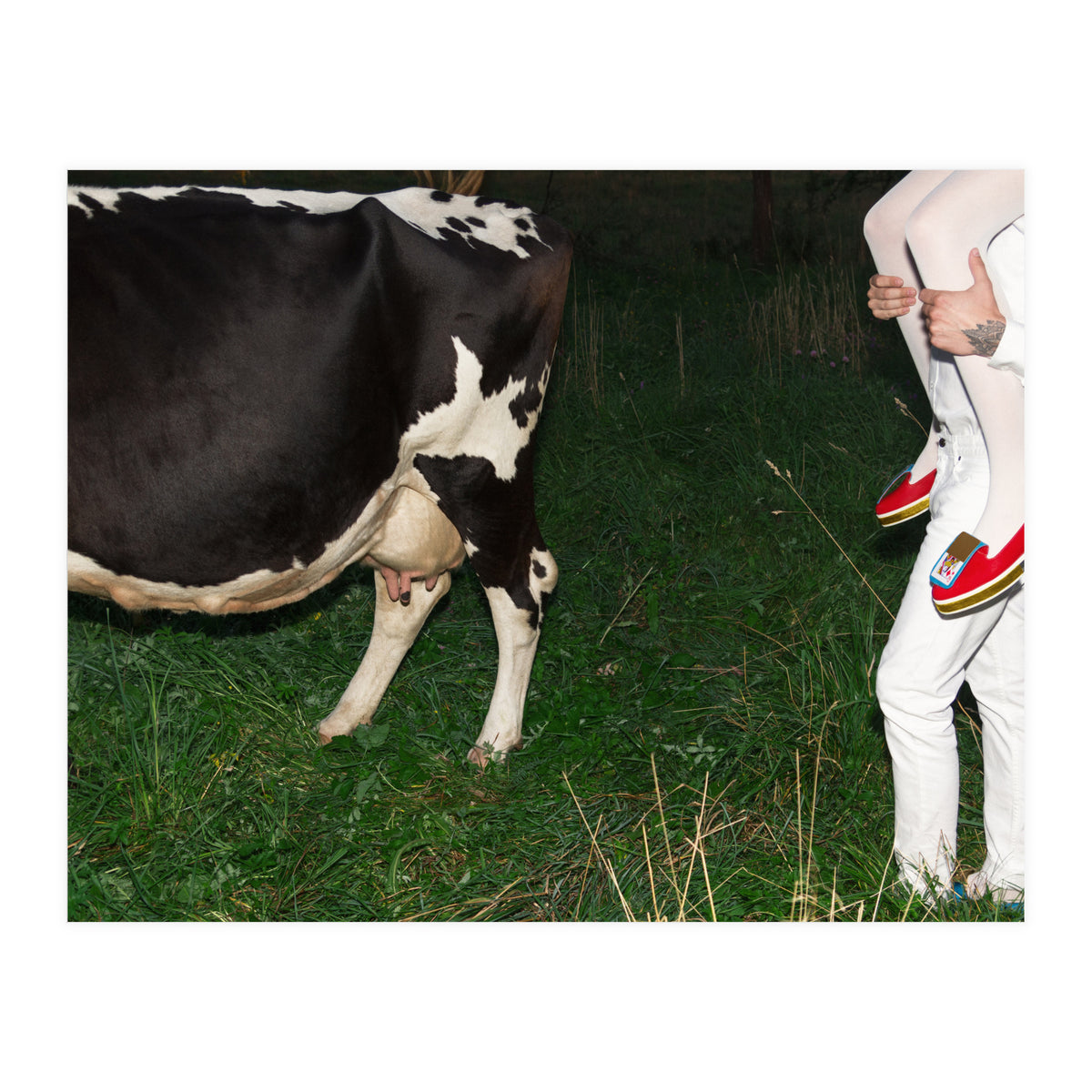 Moo means No (Print Only)