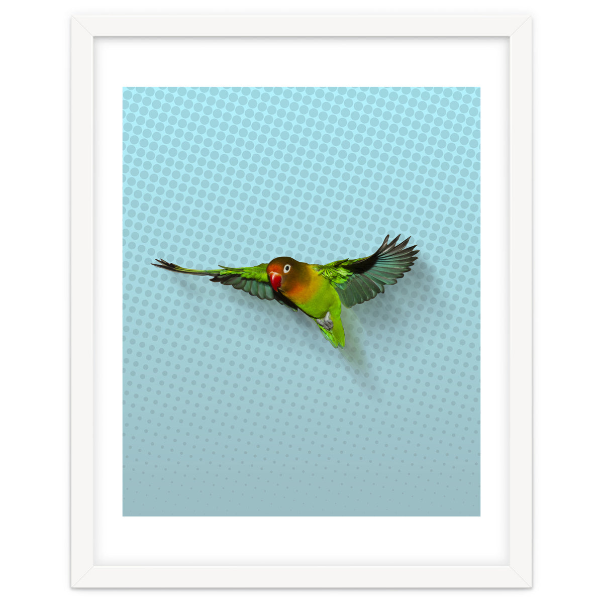Flying lovebird