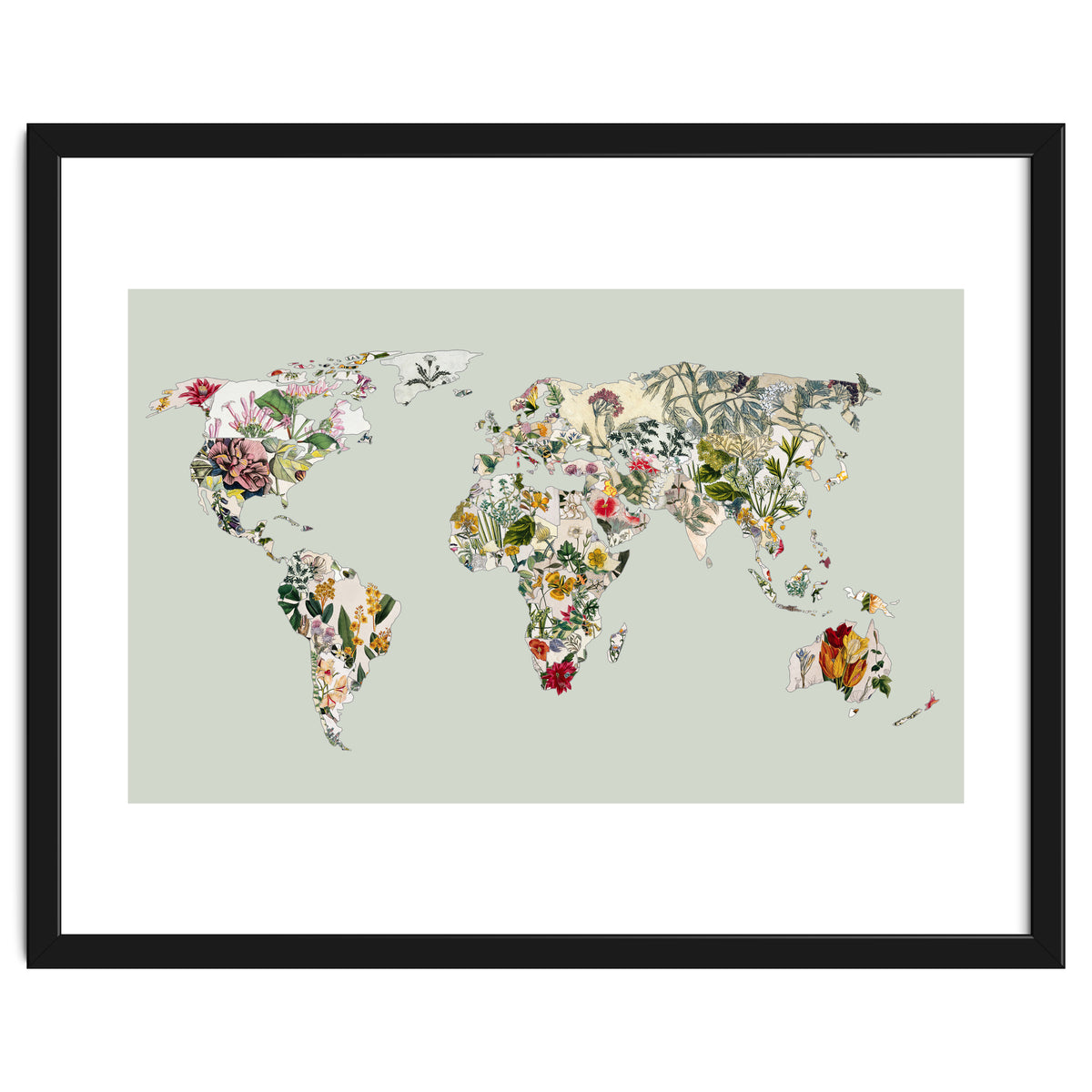 Vintage Botanical Map - Green