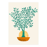 Emerald Ficus Sunset (Print Only) thumbnail