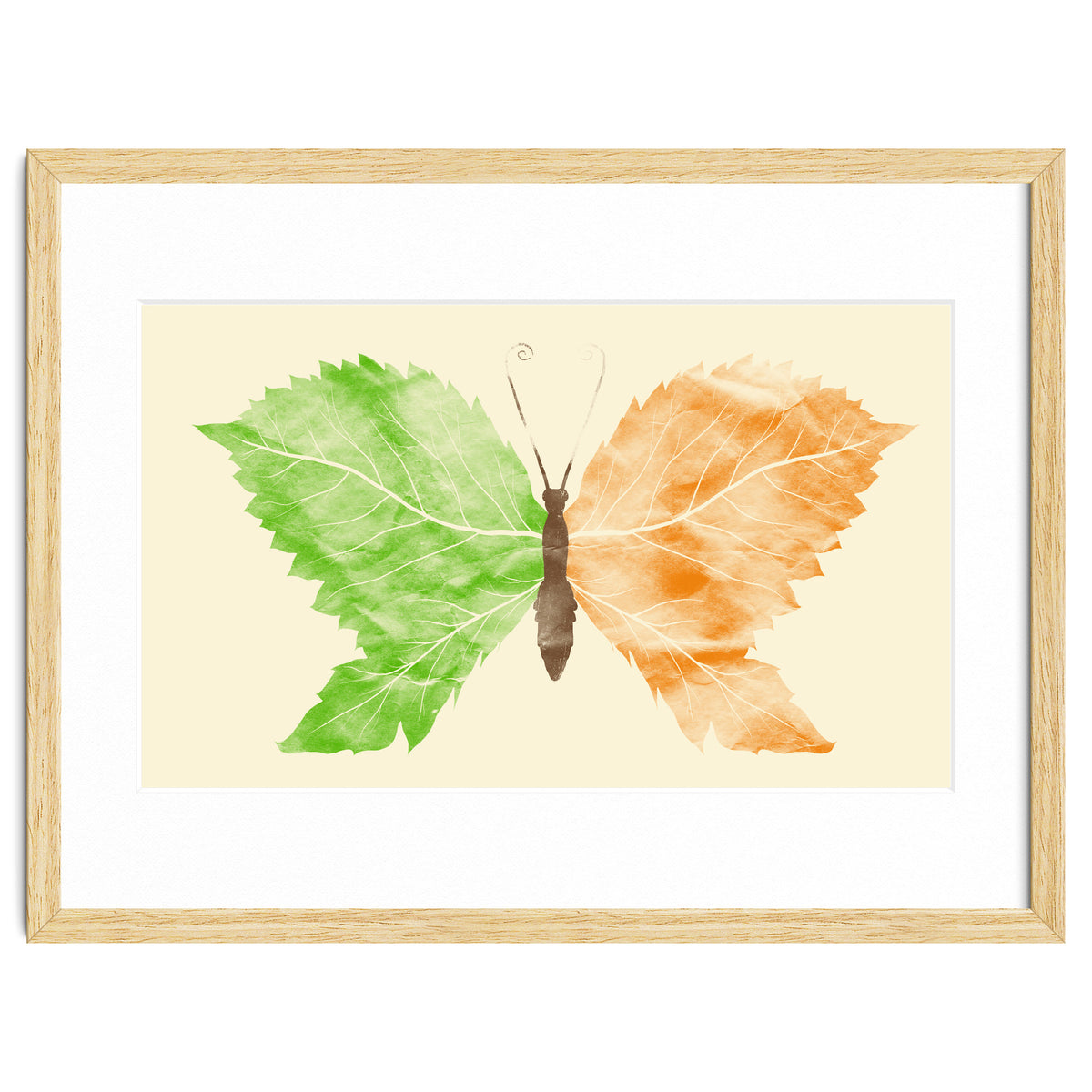 Seasons Change Time Flies