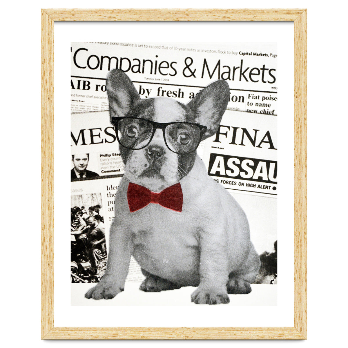 The Dog Of Wall Street