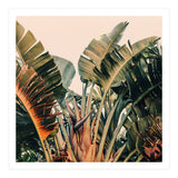 Hue (Print Only) thumbnail