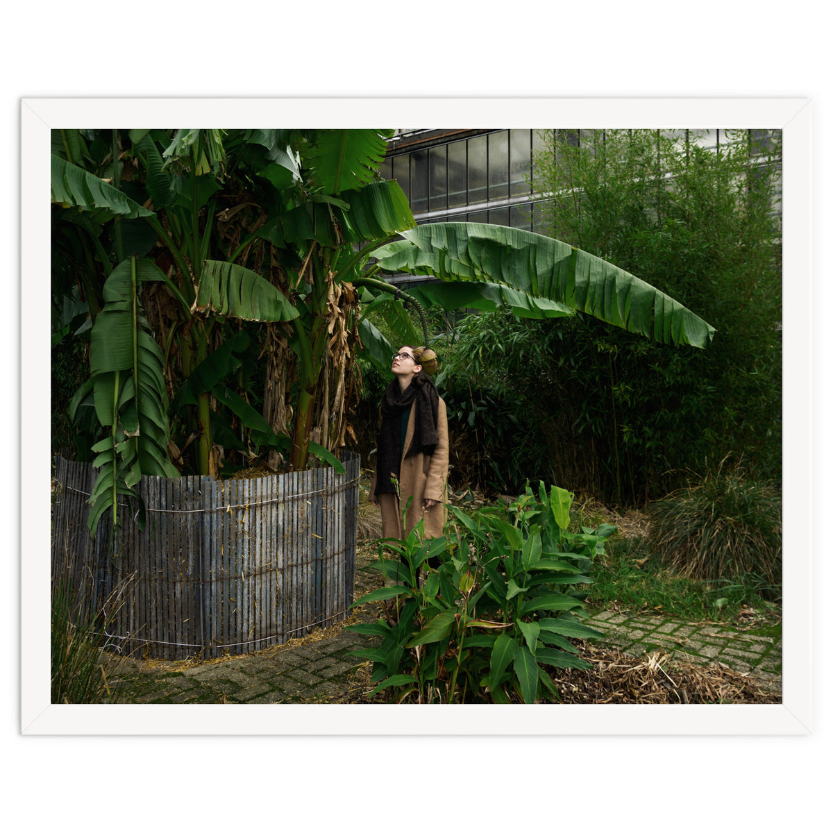 Transition from Summer to Winter