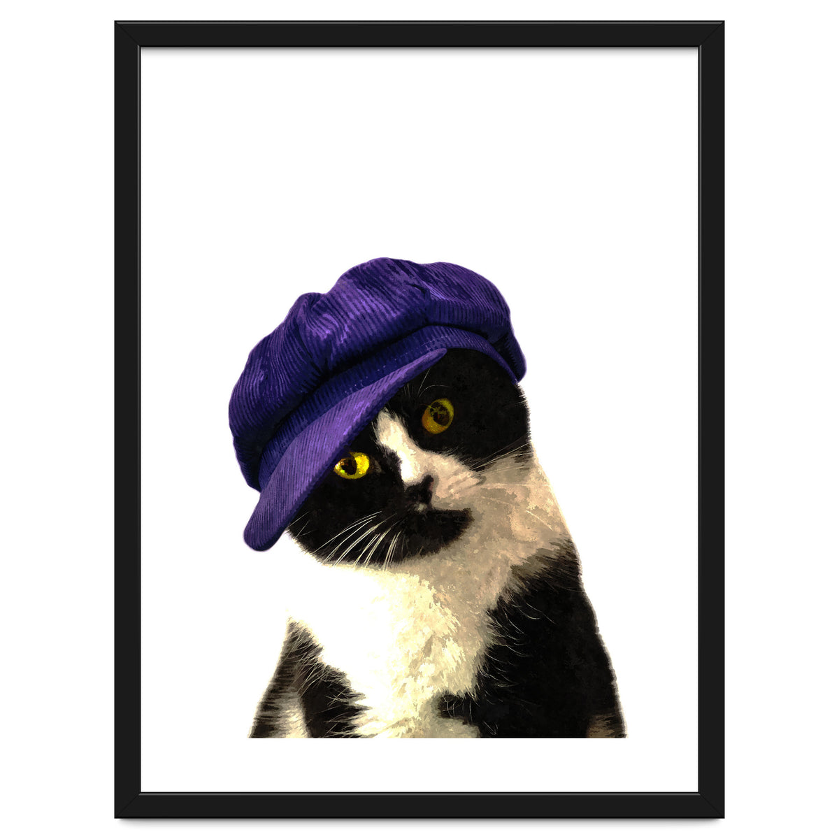 Cat Blue Hat
