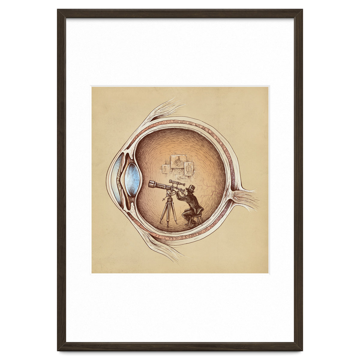 Extraordinary Observer