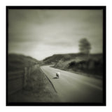 Gesto (Print Only) thumbnail